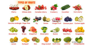 Types of Fruits